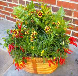 Fall container